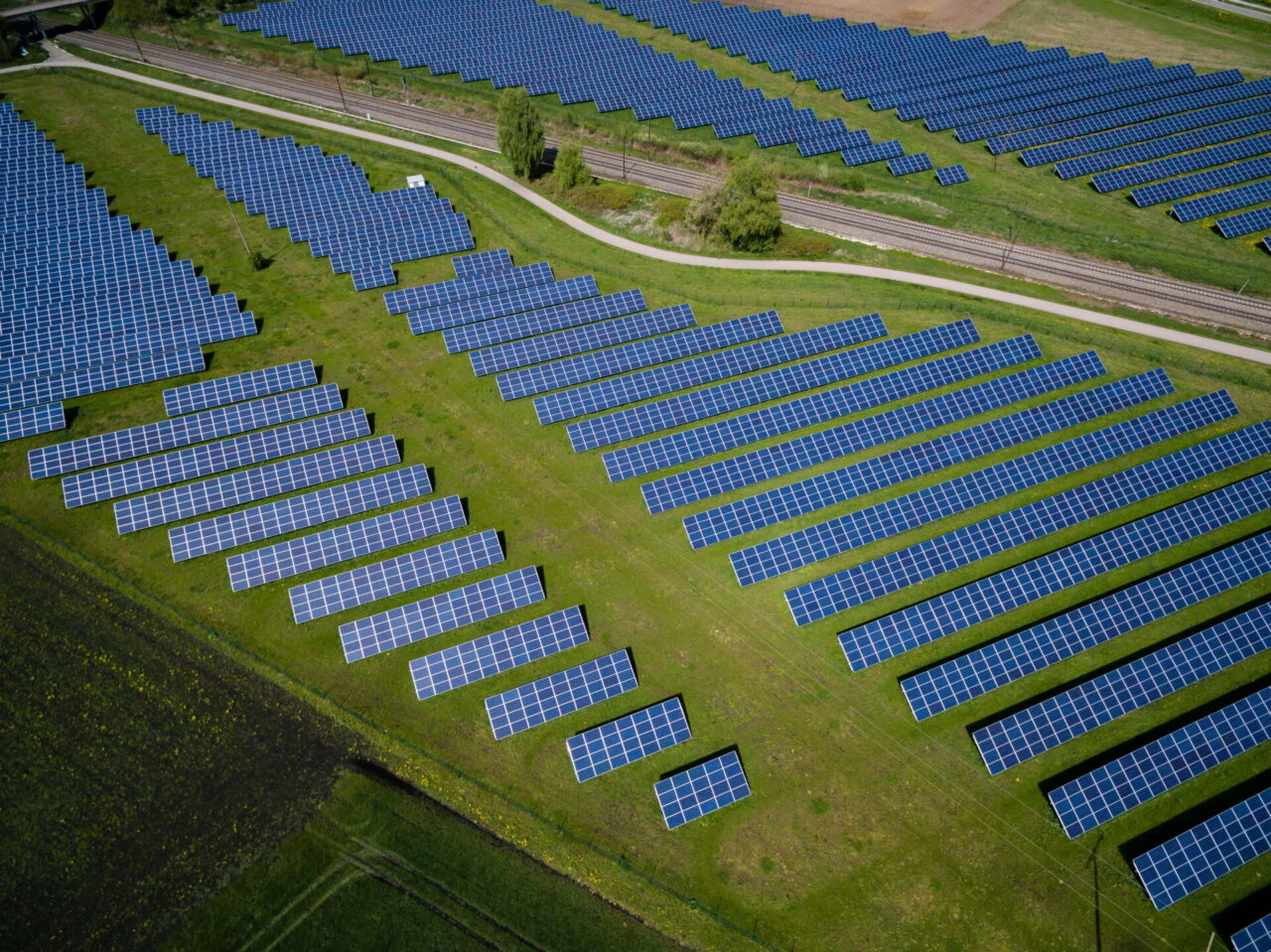 Fotovoltaico, petizione di Coldiretti: niente pannelli sui terreni agricoli