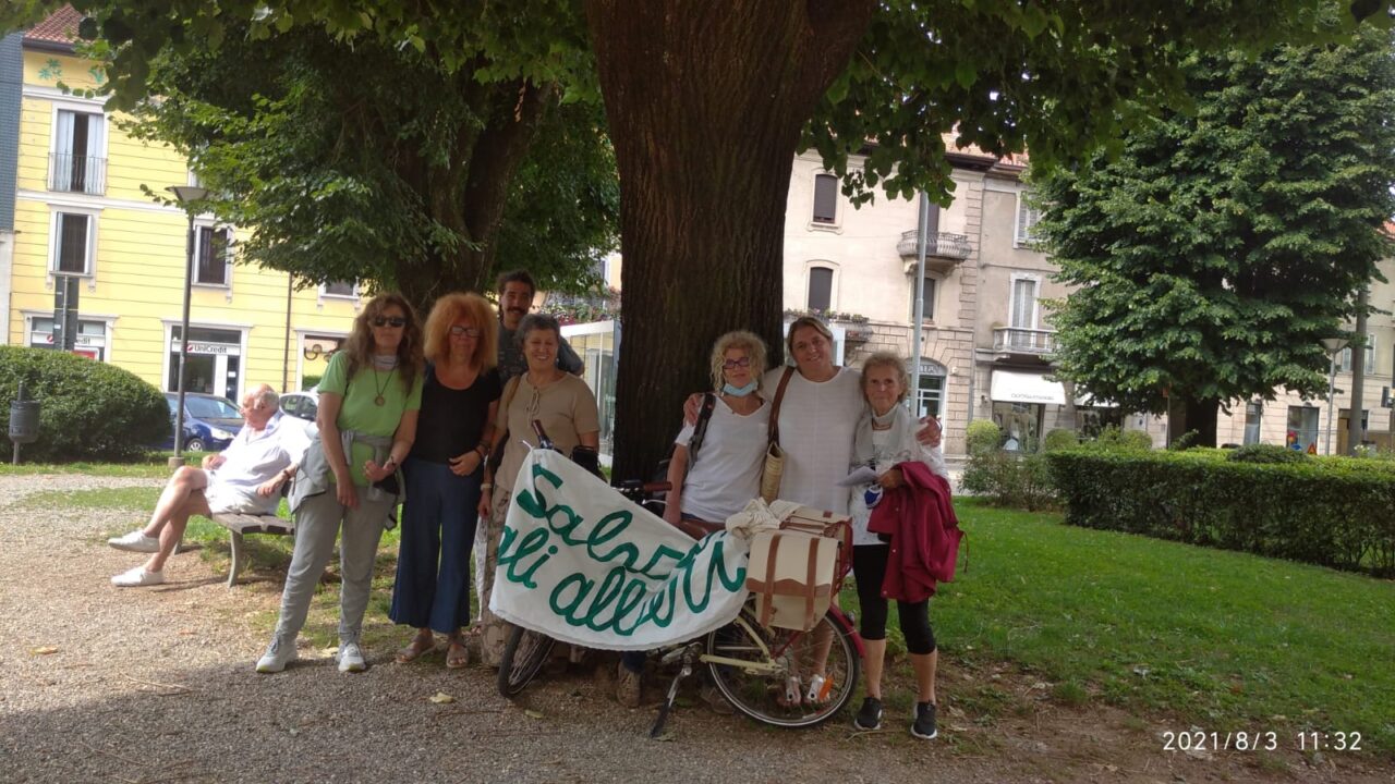 Tac agli alberi di piazza Mazzini,  l’agronomo Zanzi esamina il loro stato di salute
