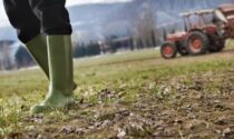 Disoccupazione agricola: le richieste devono essere inviate entro il 31 marzo