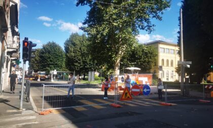 Cavalotti diffida il Comune: "Bloccate il cantiere, vogliamo garanzie per gli alberi della piazza"