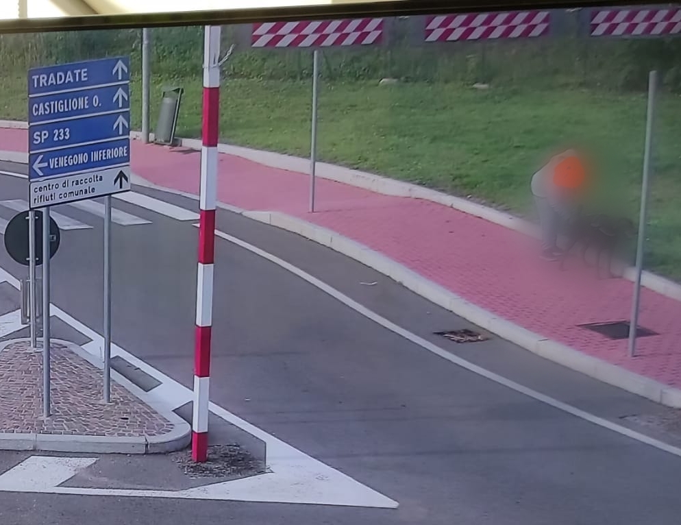 Pulisce il cane, non i bisogni: pizzicato da un automobilista a Venegono, sanzionato