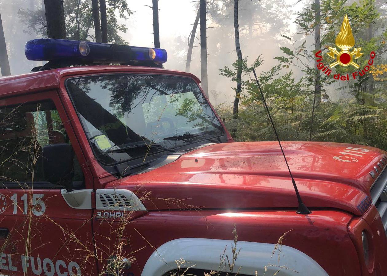 Fiamme nel Parco Pineta,  squadre antincendio al lavoro