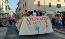 Agricolando porta la natura in piazza e fa il boom di visitatori: le foto della festa