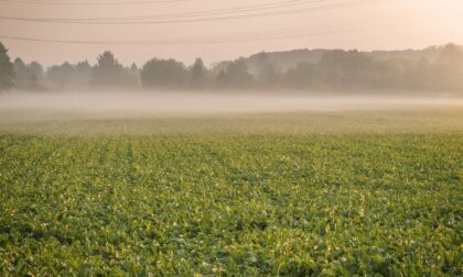 Soleggiato o poco nuvoloso ma arrivano foschia e nebbie | Meteo Lombardia