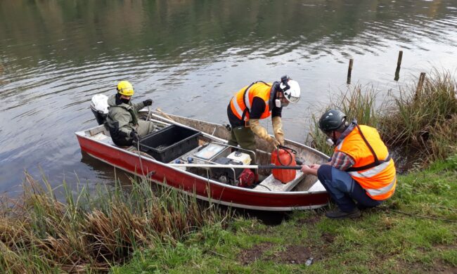 Partita la caccia ai pesci siluro nell’Adda e nel Lago di Olginate