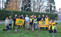 A caccia di "ceppi" per la Festa dell'Albero con Ambiente Saronno