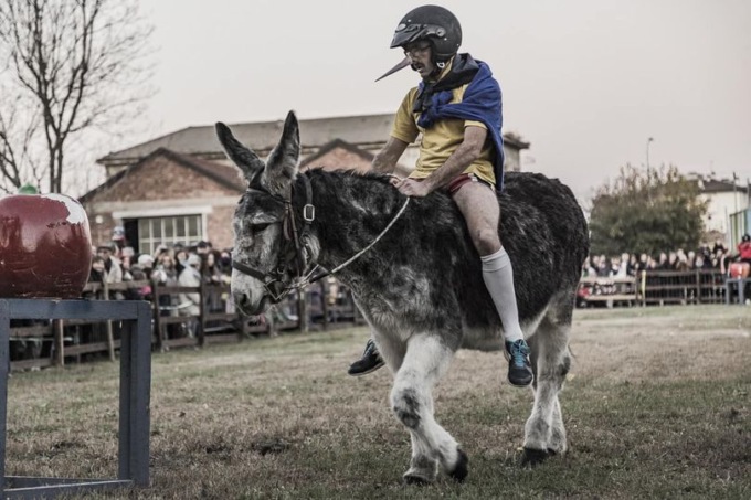 “Asini maltrattati al Palio”: gli animalisti denunciano il sindaco di Gallarate