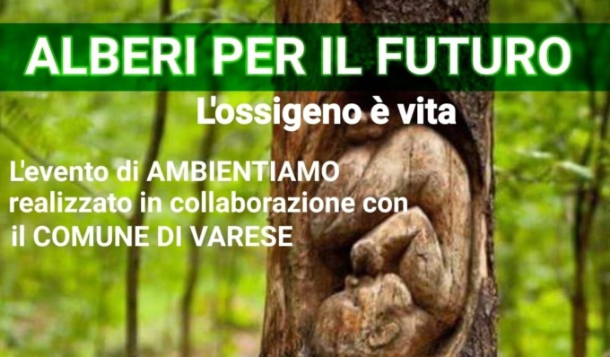 “Alberi per il futuro”: Varese si prepara alla Giornata Nazionale dell’Albero