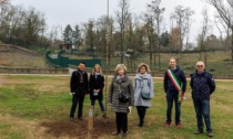 Gerenzano, un albero dedicato ai nati nel 2020