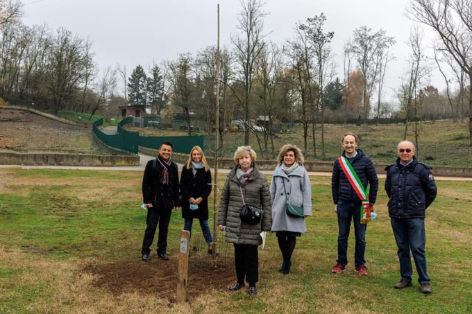 Gerenzano, un albero dedicato ai nati nel 2020