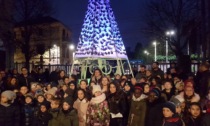 «Il futuro è nelle nostre ali», l’albero del riuso di Abbiate «salva» le api