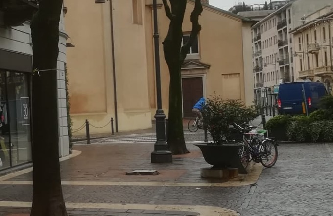 La Lega: “Taglialegna dalla propaganda green. Dieci piante per compensare il bagolaro abbattuto”