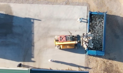 Influenza aviaria: ordinato l’abbattimento degli animali