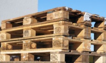 Ladri di pallet al Penny Market di Gallarate