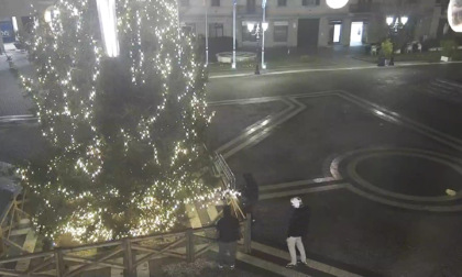 Vandalizzato l'albero di Natale di Saronno: beccati i responsabili