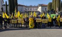 Agricoltori in piazza a Varese: al Prefetto proposte e richieste di Coldiretti per il mondo agricolo