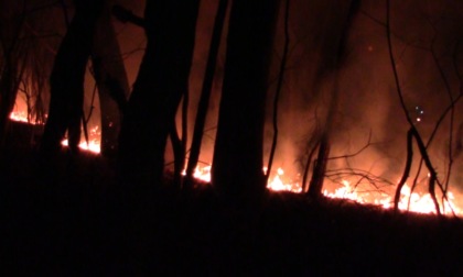 Brucia il bosco dello spaccio a Marnate