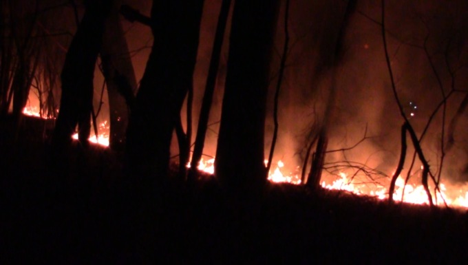 Brucia il bosco dello spaccio a Marnate