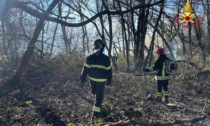 Incendio nei boschi a Malnate, anche due Canadair in azione