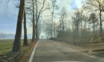 Ancora fiamme nel Parco delle Groane