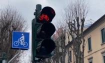 Verde di via Roma, dopo i bagolari mano alle aiuole