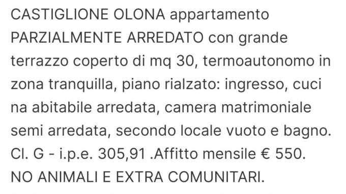 “No animali e extracomunitari”: indigna l’annuncio d’affitto a Castiglione