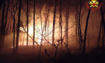 Nuovo incendio al Parco delle Groane, spento dopo due ore di lotta