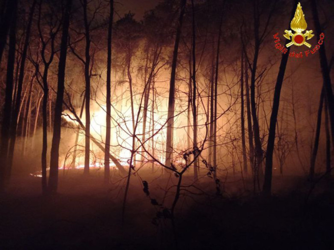 Nuovo incendio al Parco delle Groane, spento dopo due ore di lotta