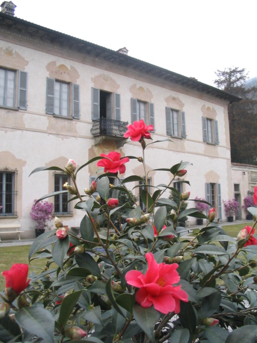 Cosa fare a Varese e provincia nel weekend: gli eventi di sabato 22 e domenica 23 marzo 2025