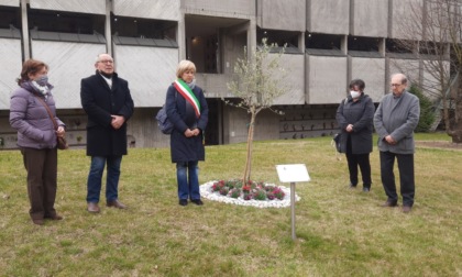 Giornata della memoria e dell'impegno in ricordo delle vittime innocenti delle mafie