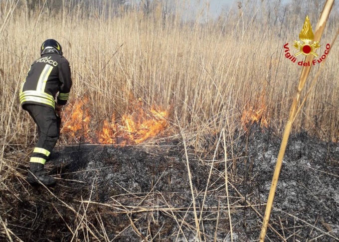 Canneto in fiamme a Laveno, salvato un cucciolo di cinghiale