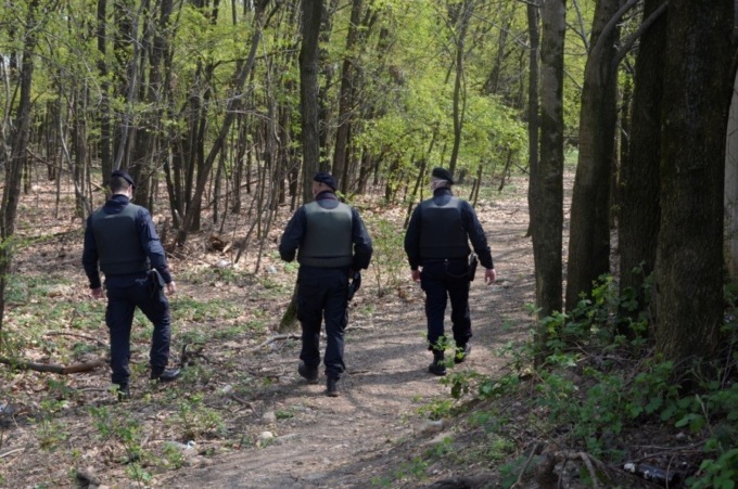 Subentrati ai “colleghi” dopo gli arresti, presi i nuovi pusher dei boschi di Caronno Pertusella