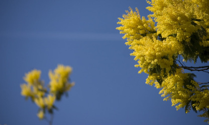 Un mese di eventi dedicato alle donne