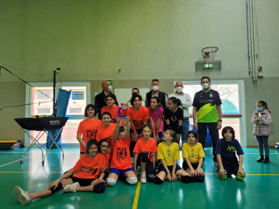 Rvolley223