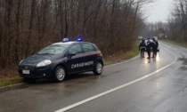 Trovato il cadavere di un uomo nel bosco del Rugareto