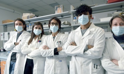 Airc finanzia la ricerca Insubria sul Glioblastoma: 600mila euro al laboratorio di Patologia