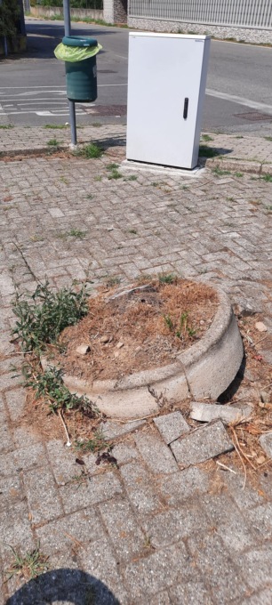 «Serve più cura»: Progetto per Gorla + viva invoca il decoro