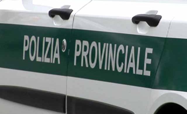 Operazione antidroga nel Parco delle Groane: spacciatore denunciato e acquirenti segnalati