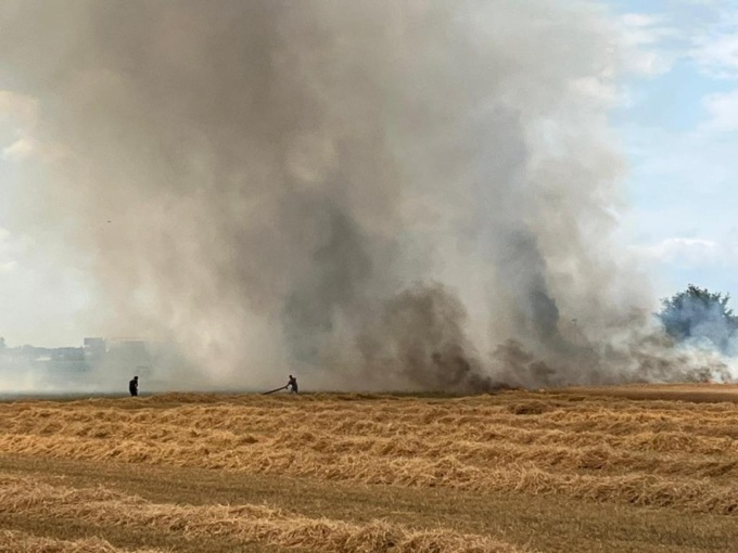 Campi in fiamme a Gerenzano: morti sei animali