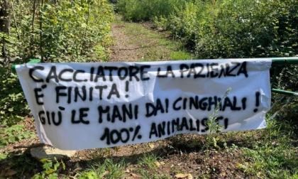 L'accusa degli animalisti: "Al Parco Pineta uccisi cinghiali, caprioli e volpi"