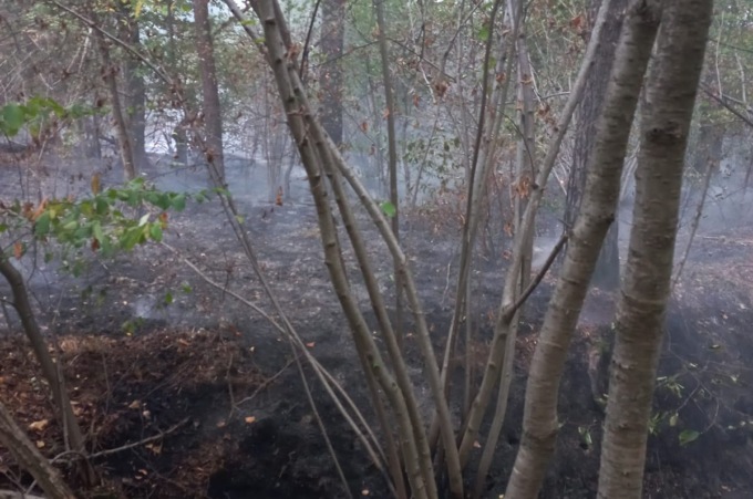 Incendio nel Parco delle Groane sottobosco: Vigili del fuoco in azione