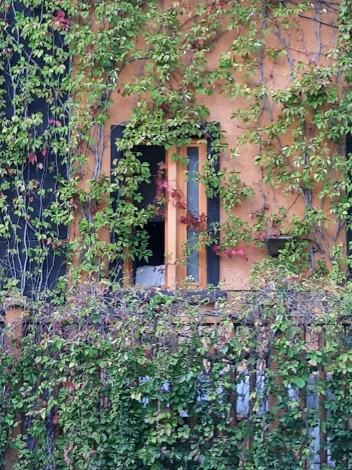 Porte spalancate nell’ex Lazzaroni, Per Uboldo torna a chiedere di intervenire