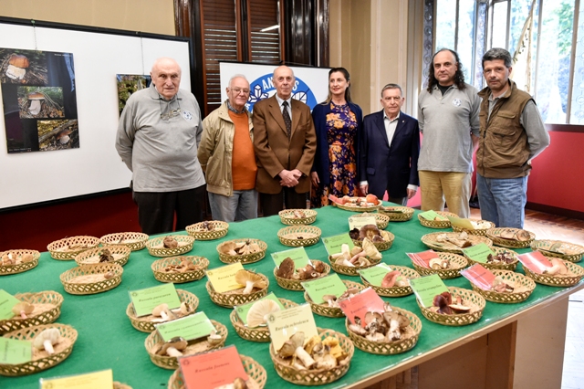 Legnano, apre sabato 8 ottobre la mostra micologica di Antares