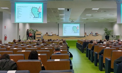 Sanità, eletto il Consiglio di Rappresentanza dei sindaci per l'Asst Lariana