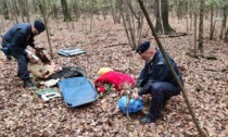 Maxioperazione dei carabinieri nei boschi del Comasco tra bivacchi e droga