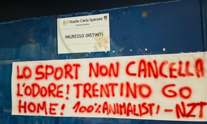 Blitz animalista allo stadio di Busto: "Trentino Go Home"