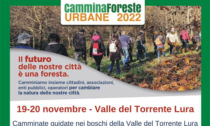 Cinque appuntamenti nei parchi del Lura per il Cammina Foreste Urbane