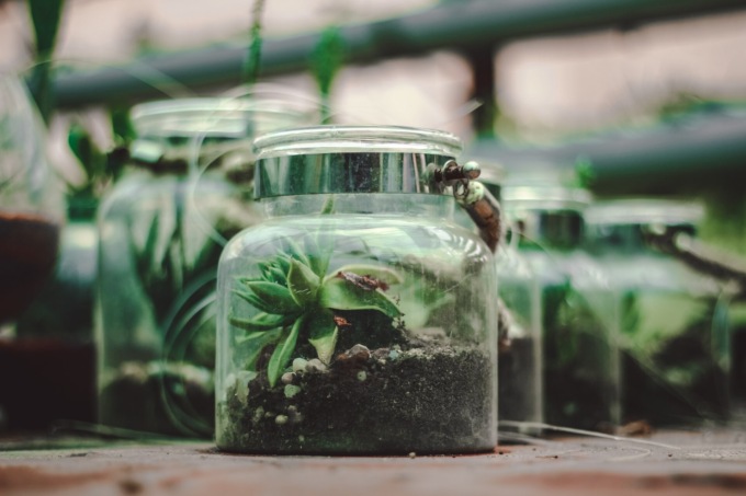 A scuola di terrario allo Spazio Matrioska di Vedano
