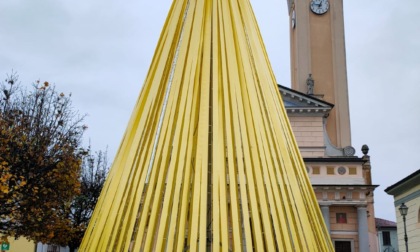 Turate, albero di Natale giallo per incentivare alla donazione del plasma