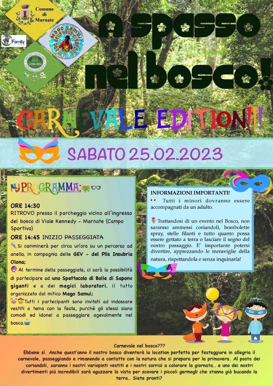 Pendragon - A Spasso Nel Bosco: Il Gioco Da Tavolo Solitario Che Ti Porta A Raccogliere More E Funghi (senza Uscire Di Casa) - 5